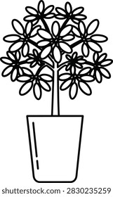 Schefflera Umbrella Tree Plant in Tall Modern Pot Monoline Outline Icon With Whorls of Circular Oval Leaves