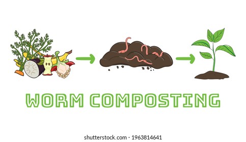 Schema of recycling organic waste from collecting kitchen scraps to use compost for gardening. Recycling organic waste. Zero waste concept. Hand drawn vector illustration.