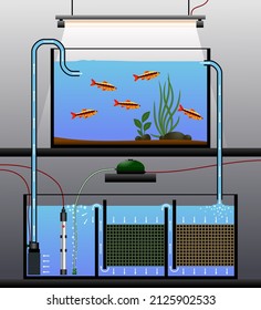 Schematic diagram of an aquarium with external sump filtration. Vector illustration of an aquarium filter. 