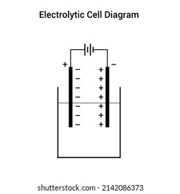 schematic diagram of electrolytic cell in chemistry isolated on white background