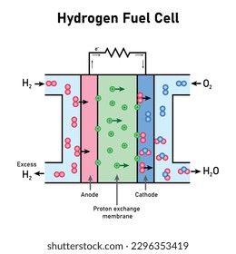 Diagrama esquemático de la célula de combustible de hidrógeno. Celda electroquímica. Ilustración vectorial aislada en fondo blanco.