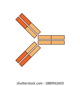 schematic diagram of immunoglobulin, antibody