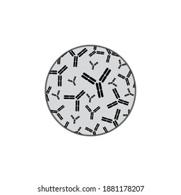 Schematic Diagram Of Immunoglobulin, Antibody