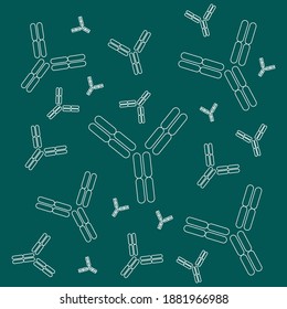 schematic diagram of immunoglobulin, antibody