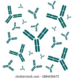 Schematic Diagram Of Immunoglobulin, Antibody