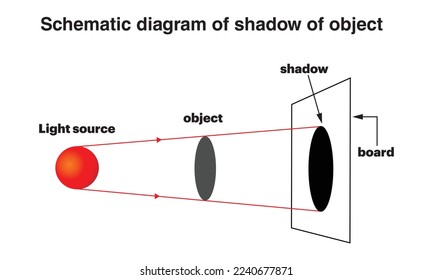 schematic diagram of shadow of object. shadow formation vector illustration of physics isolated in white background