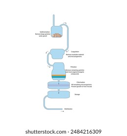 Schematic diagram of a water purification system - sedimentation, coagulation, filtration, cholrination, storage and distribution.