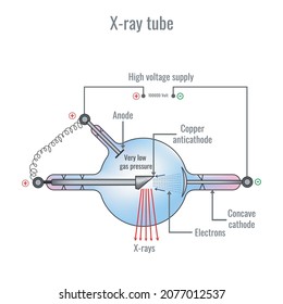 Schematic Diagram Of An X-ray Tube That Could Be Used For Radiation Therapy, Medical Radiography. X Ray Tube, Production Of X Ray. Radiology Scan Equipment Structural Scheme.  How X Ray Machine Works?