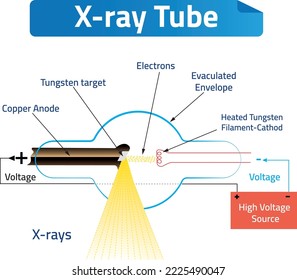 Schematic diagram of an x-ray tube that could be used for radiation therapy, medical radiography and airport security. Vector