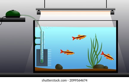 A schematic illustration of an aquarium with fish equipped with an airlift filter.  Vector illustration.
