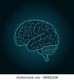 Schematic illustration of human brain on a blue background