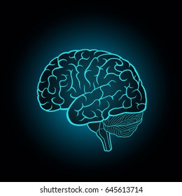 Schematic illustration of human brain on a dark blue background