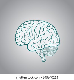 Schematic illustration of human brain on a dark blue background