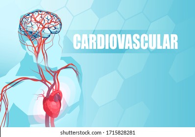 Schematic Illustration Of The Human Circulatory Vascular System, Heart Anatomy And Brain Blood Supply 