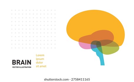 Schematic Image Of The Human Brain In A Minimalist Style With Multiple Effect