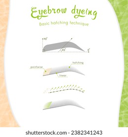 Schematic instructions for the basic technique of eyebrow tinting in permanent makeup cosmetology