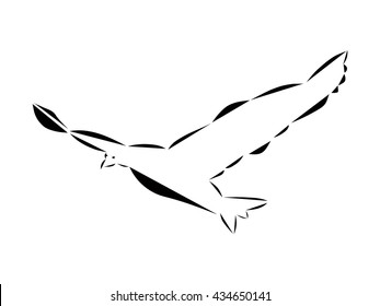 Schematic logo icon of flying sea gull. 