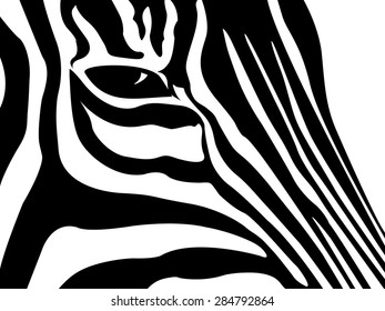schematic outline of the muzzle is black and white Zebra