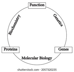 6,071 Biological Relationship Images, Stock Photos & Vectors | Shutterstock