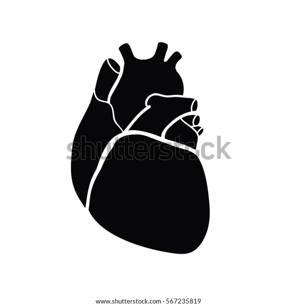 Schematic Representation Human Heart a Black Stock Vector (Royalty Free ...