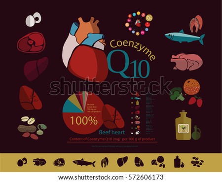 Schematic representation of the human heart.
Color image on a light background