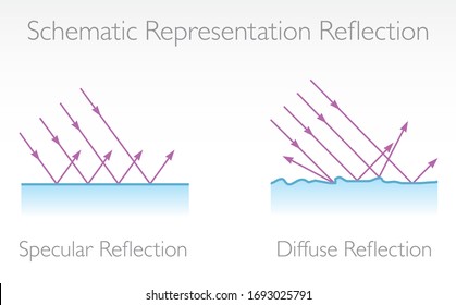 Schematic Representation of Reflection - Physics Education Vector Illustration