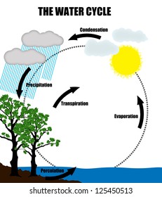 Schematic representation of the water cycle in nature,vector illustration (Helpful for Education & Schools)