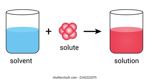 schematic of solubility in chemistry. Solute solvent and solution