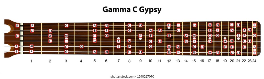 Schematic view of the guitar neck with a gamma c gypsy