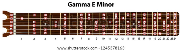 Schematic View Guitar Neck Scale E Stock Vector Royalty Free