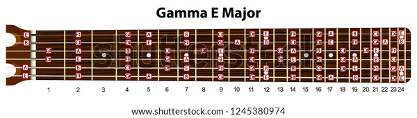 Schematic View Guitar Neck Scale E Stock Vector Royalty Free