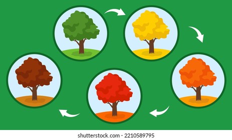 scheme of changing green leaves to yellow