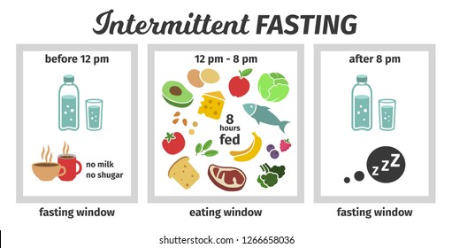 Scheme and concept. eating and fasting windows. Vector illustration. Infographic