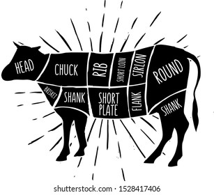 Scheme of cow. Vector illustration.