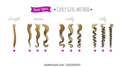 Scheme of curly hair of different types. Straight, waves, curly, coily hair. Curly hair type chart. Curly girl method.