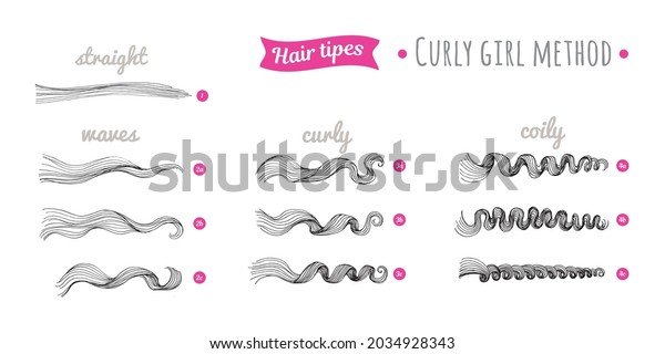 Scheme of\
curly hair of different types. Straight, waves, curly, coily hair.\
Curly hair type chart. Curly girl\
method.