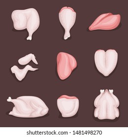 Scheme cutting chicken. Poster in retro style. Chicken pieces. Isolated on white background.