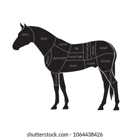 Scheme of cutting horse meat with cutting lines. Design for butcher shop, banner. Diagram on white background. Vector illustration. 