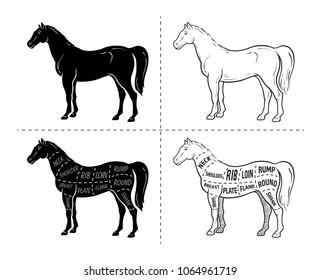 Scheme of cutting horse meat with cutting lines. Design for butcher shop, banner. Diagram on white background. Vector illustration.