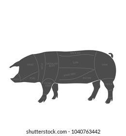 Scheme of cutting pork meat with cutting lines. Design for butcher shop, butcher shop, banner. Diagram on white background. Vector illustration.