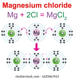 Scheme describe reaction of Magnesium (Mg) with chlorine gas (Cl2) to produce magnesium chloride (MgCl2). Vector illustration isolated white background.