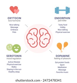 Scheme of happiness hormones oxytocin, serotonin, dopamine, endorphin. Brain biochemistry