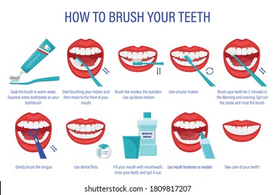 Scheme How Brush Your Teethstepbystep Instructions Stock Vector ...