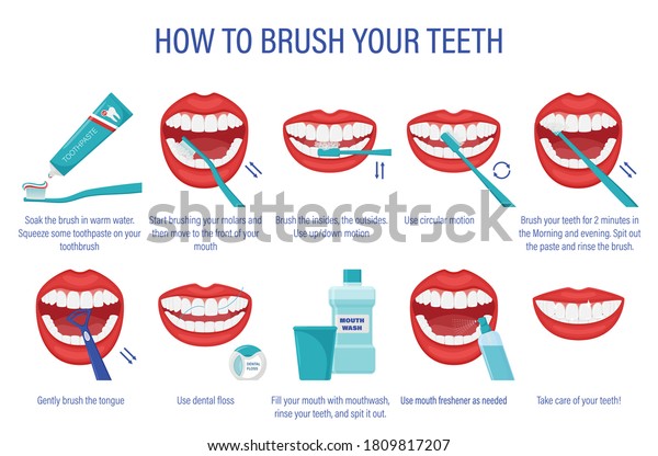 Scheme How Brush Your Teethstepbystep Instructions Stock Vector ...