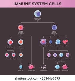 Esquema de células inmunitarias. Sistema linfoide y sistema mieloide en el fondo oscuro