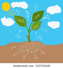 Scheme of the Oxygen cycle, flats design stock vector illustration