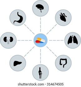 scheme of pills and human organs
