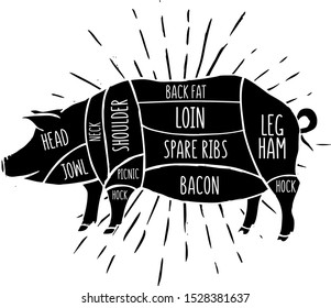 Scheme of Pork for butcher shop. Vector illustration. 