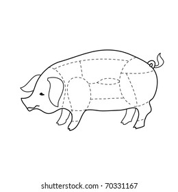 scheme pork carcasses