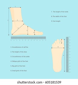 Scheme for Square Measure Human Feet Shoe Size for Business and Sales. Vector illustration